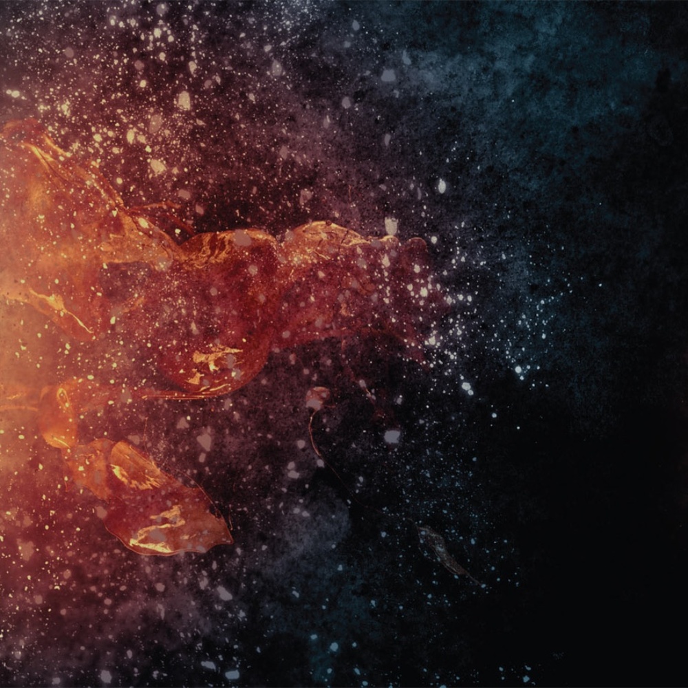 Meet your Posher, Rj